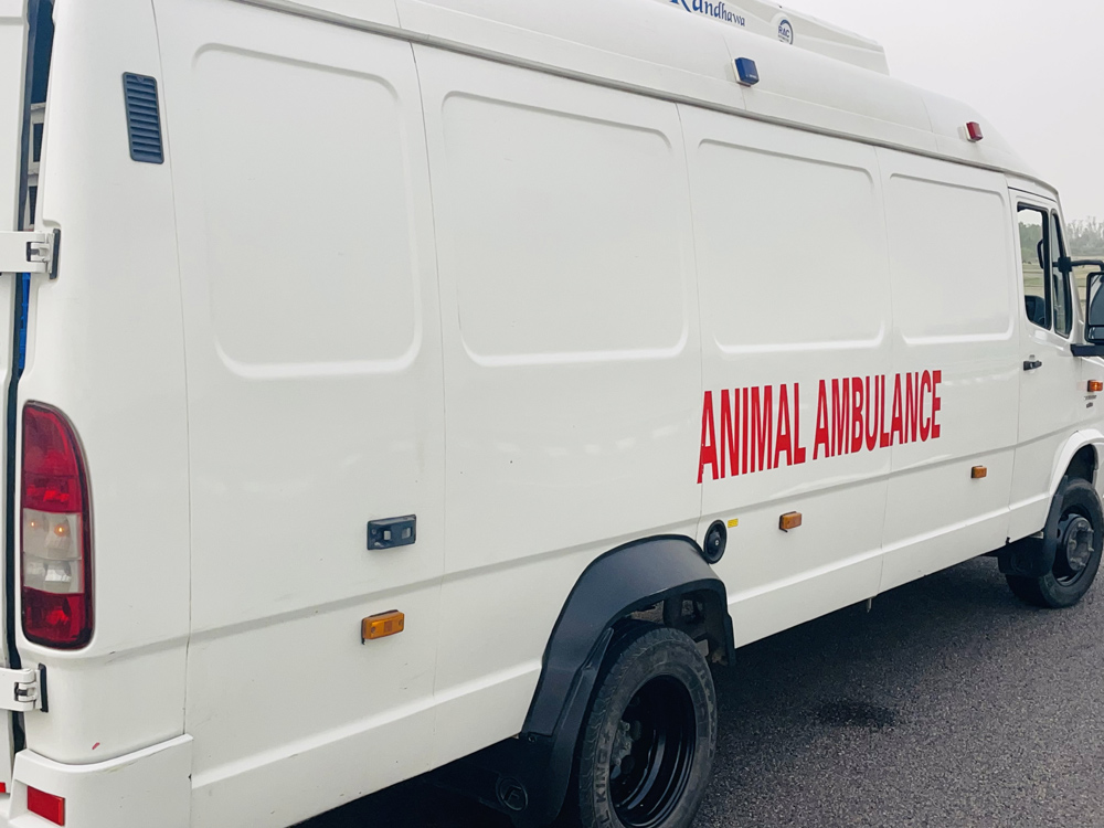 ambulance
